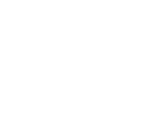 Logo Finding France Blanc Discover France off the beaten path