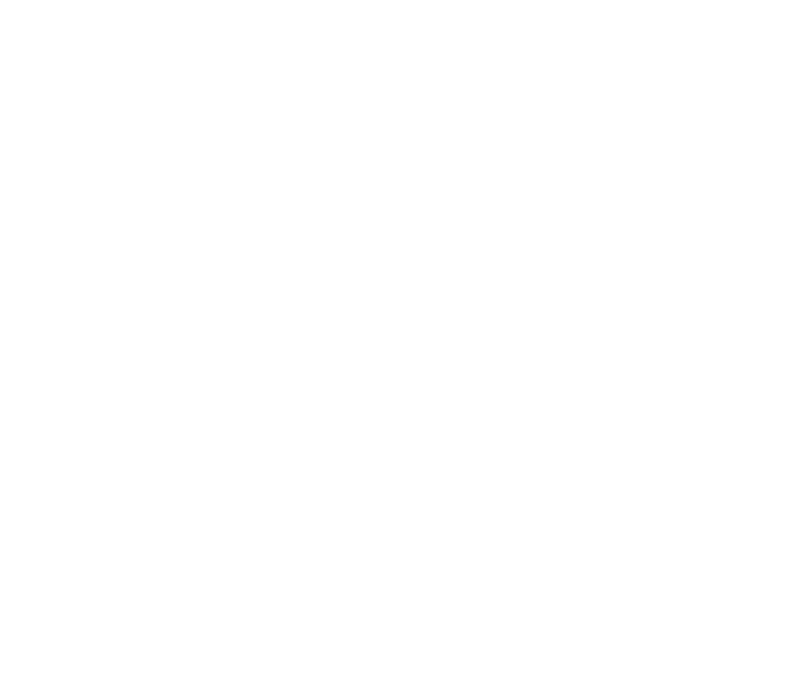 Logo Finding France Blanc Discover France off the beaten path